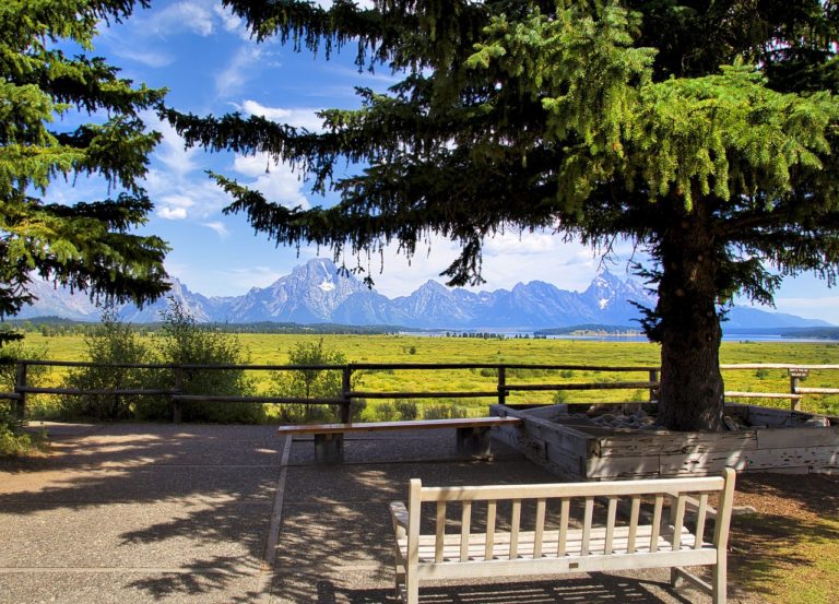 Zanurz się w naturze – domki w zakopanem otoczone górami i lasem