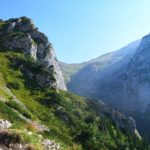 Zanurz się w naturze – domki w zakopanem otoczone górami i lasem